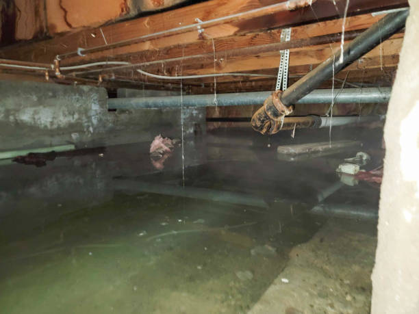  , USA Water damage restoration Pros